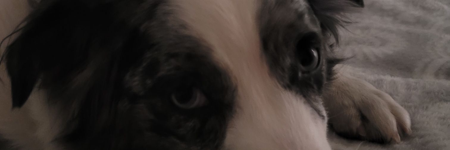 AndrewStone9's profile banner image