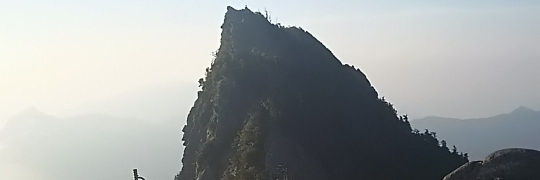 minira22331's profile banner image