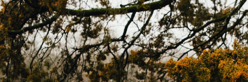 Nate_Allen1's profile banner image