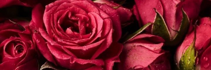 ruby1324's profile banner image