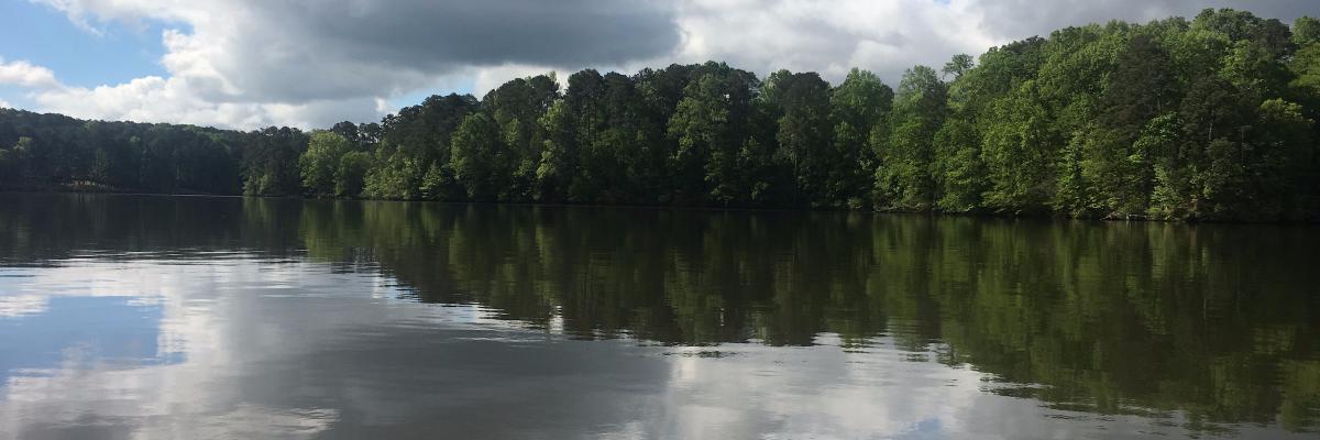 basstrail's profile banner image