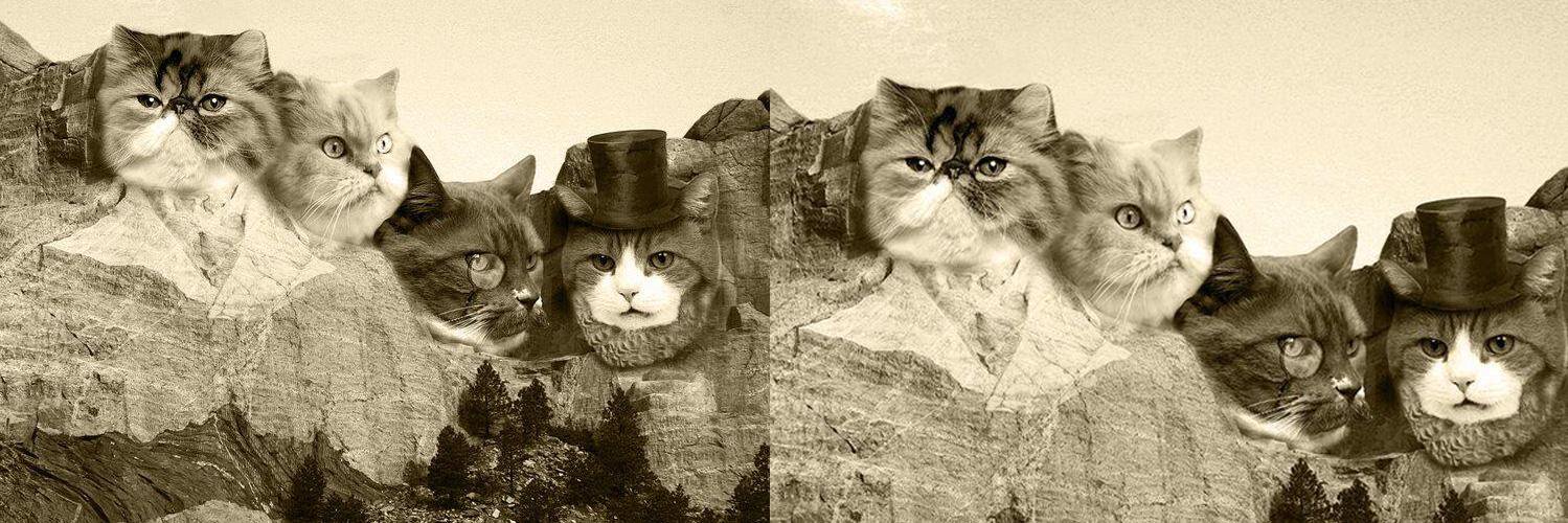 novohappy's profile banner image
