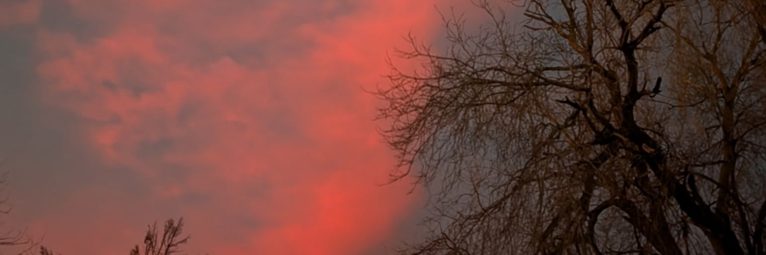 trulyNobody000's profile banner image