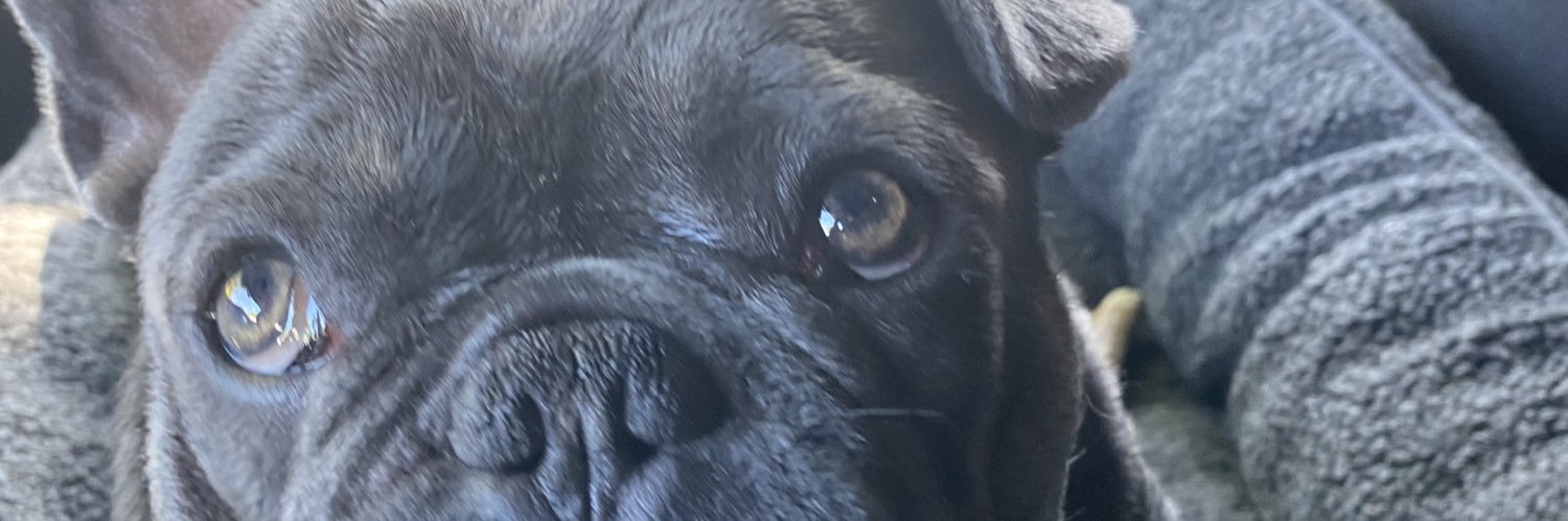 Anwaar Abu-Baker banner