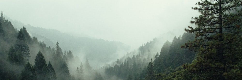 TheWolfeScott's profile banner image