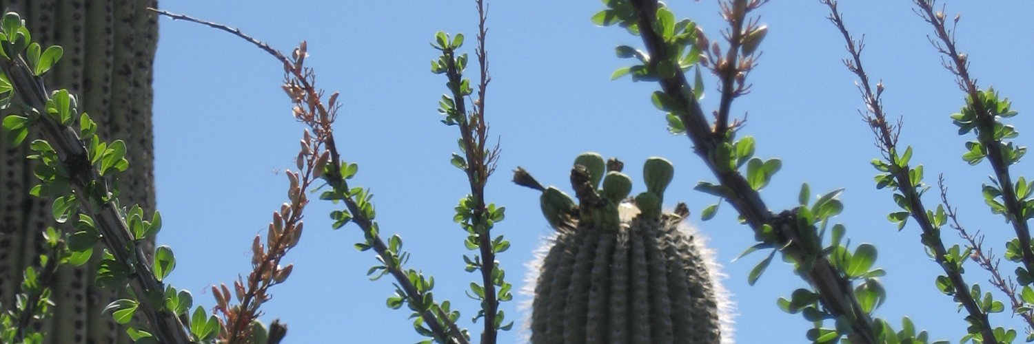 DoreenLaird's profile banner image
