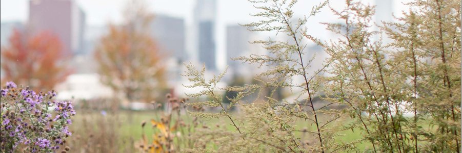 AmandaBaugh's profile banner image