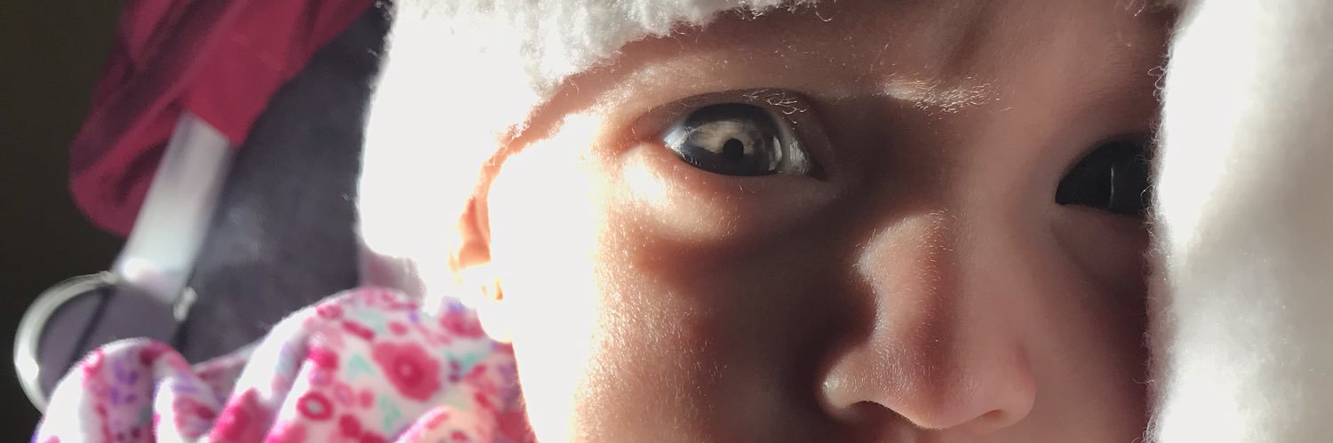 Caritapalidda's profile banner image