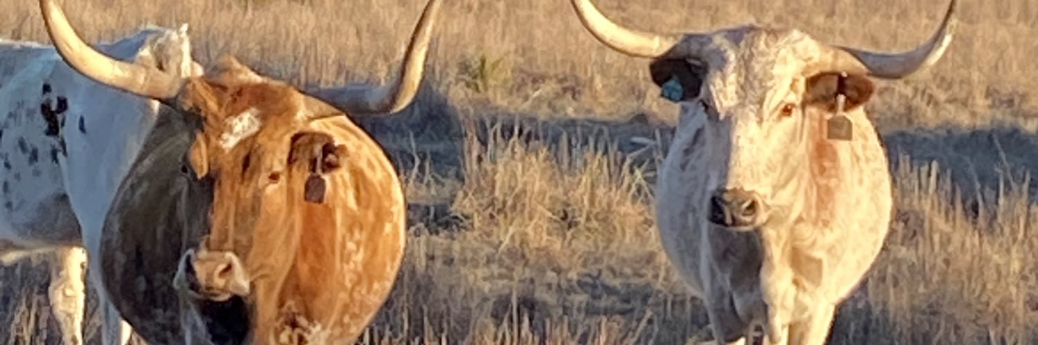 Lucy -American Patriot banner