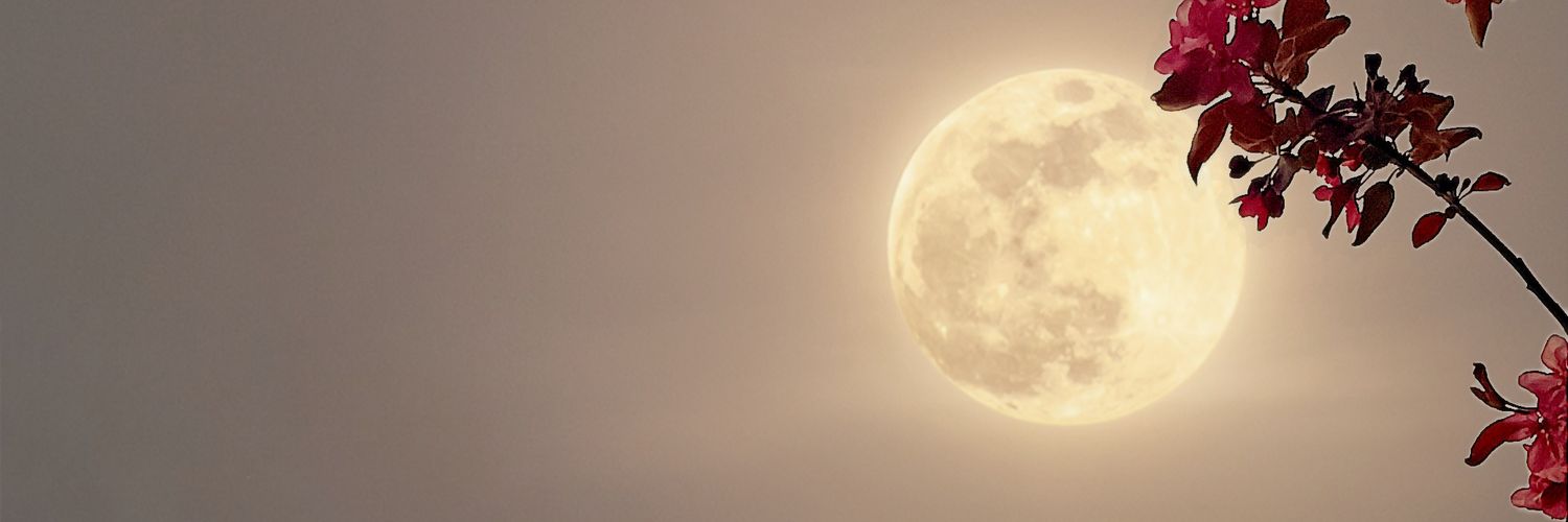 ihllck's profile banner image