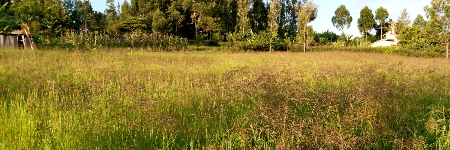 Whistling Moran banner