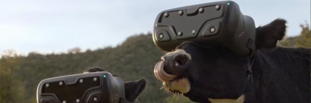 Salyutin's profile banner image