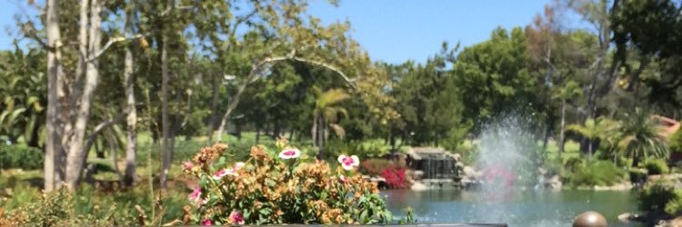 MaddieLoy's profile banner image