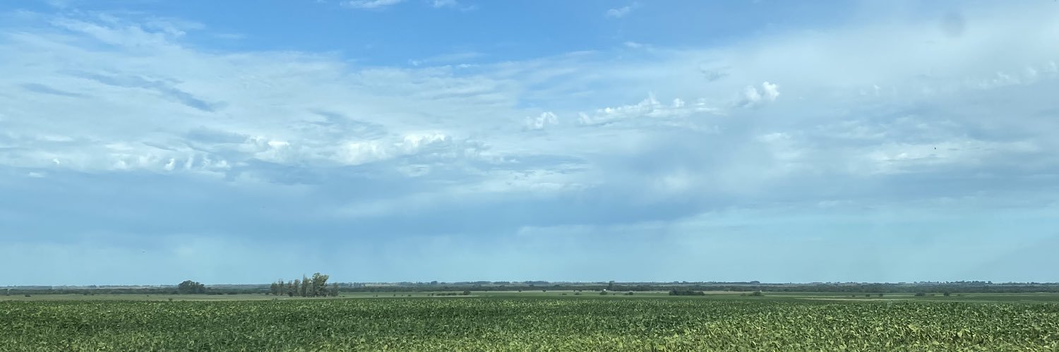 joaquinvieras's profile banner image