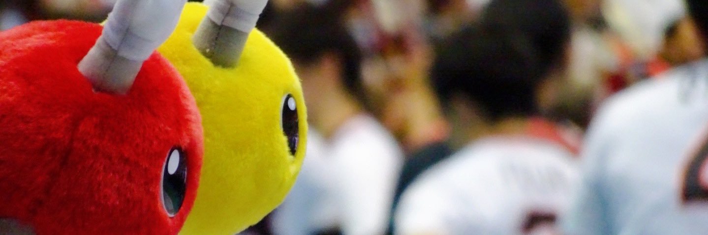 jumbopuncho's profile banner image