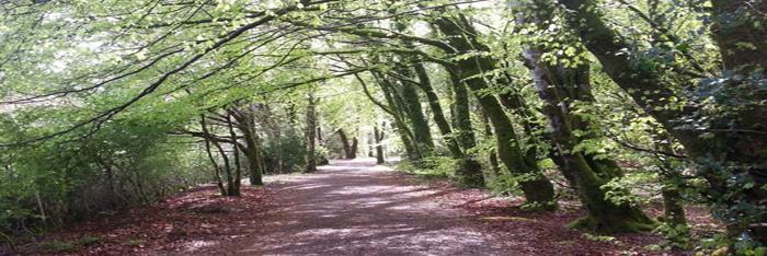 Glengarriff parkrun banner