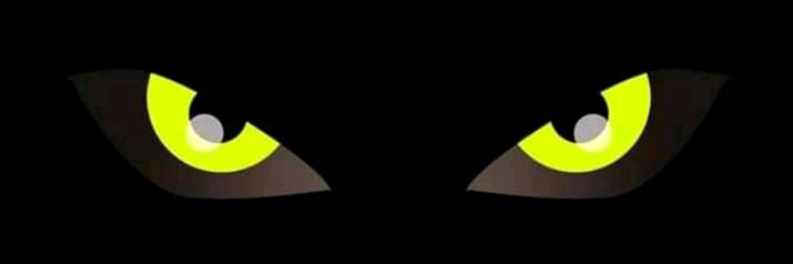 Felipataya's profile banner image