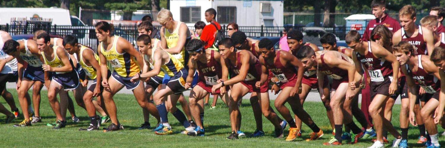 STACXCTF's profile banner image