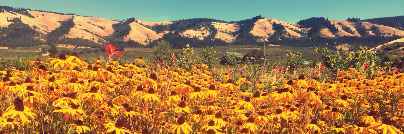 Leslie Chabala banner