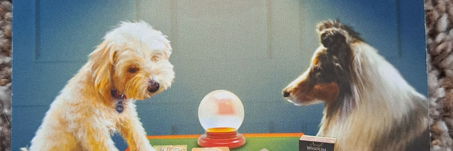 asoch38 palestine will be free! banner