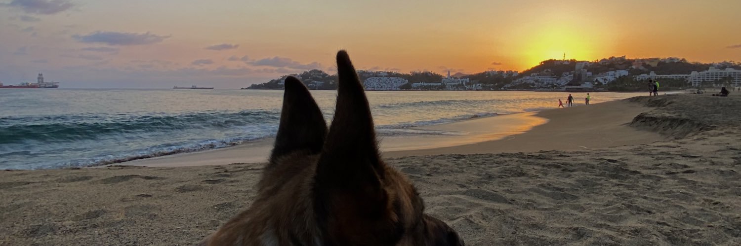 AleClaustro's profile banner image