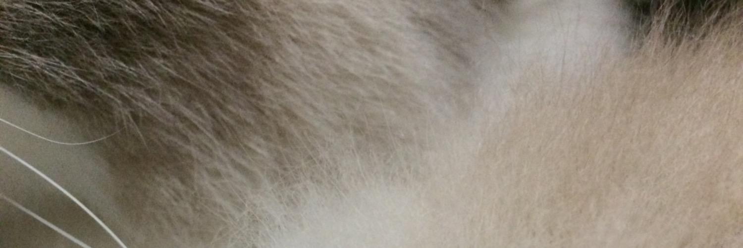 orange_farm's profile banner image