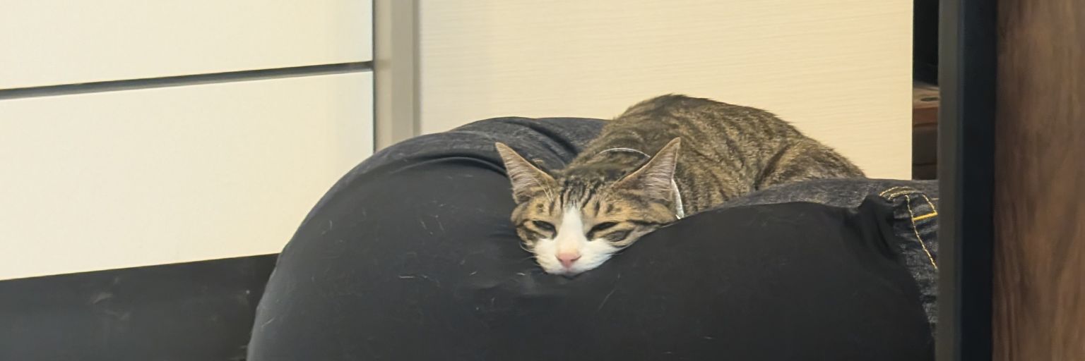 aim1mim1's profile banner image