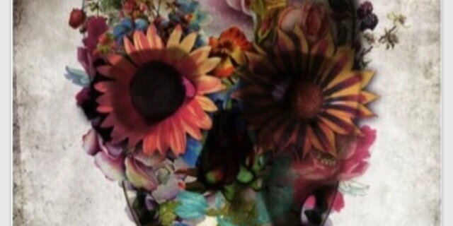 _cassandraanne_'s profile banner image