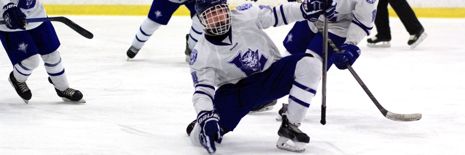 BlueDevilsPuck's profile banner image