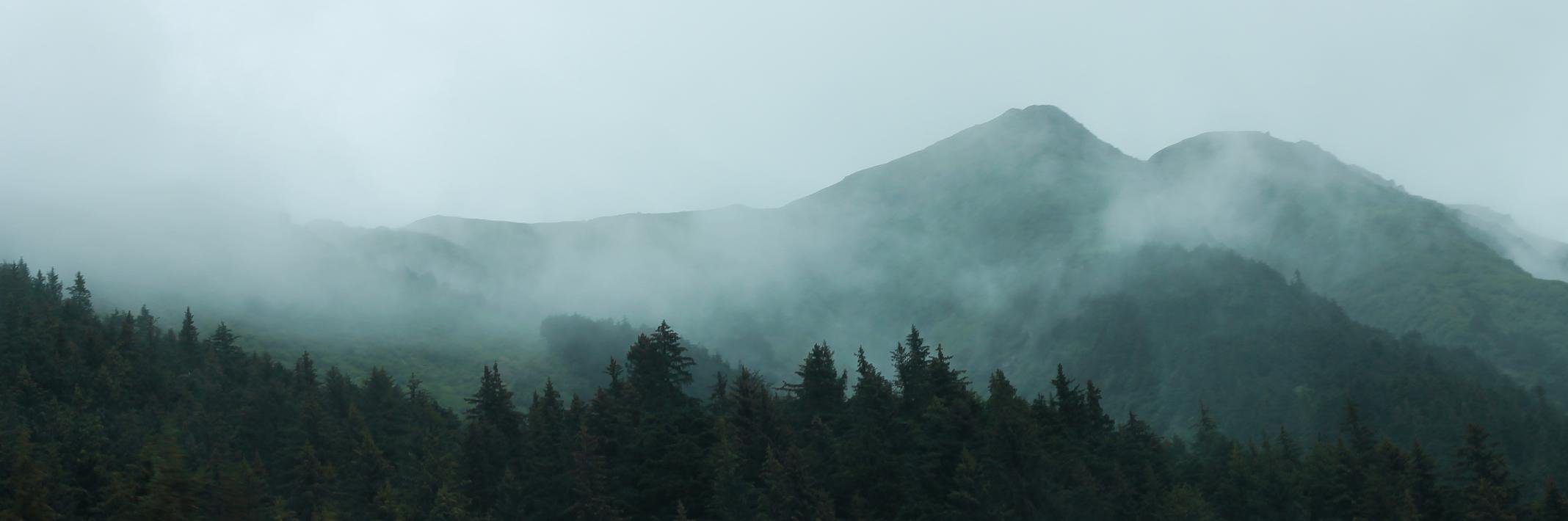 megansymm's profile banner image