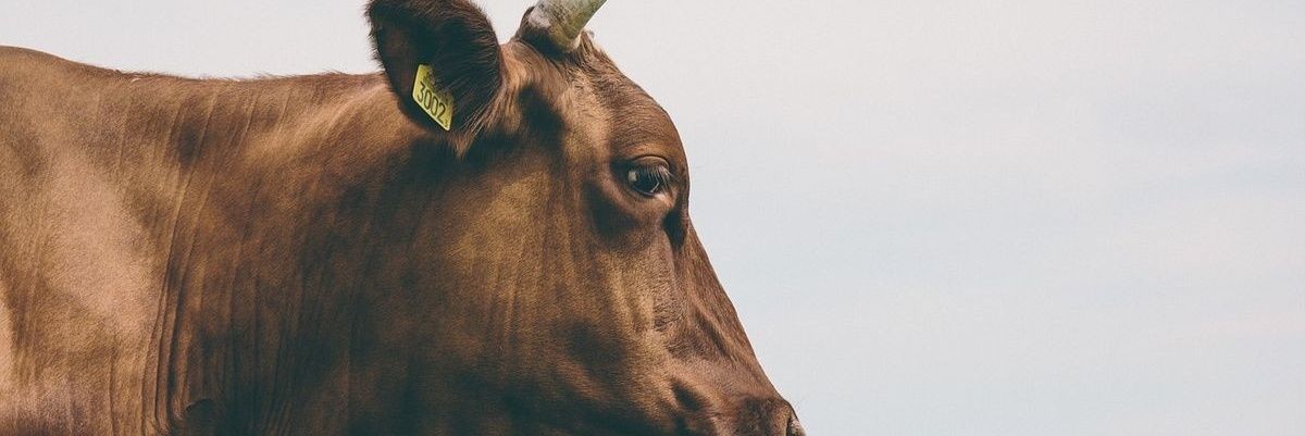 valuechasinstar's profile banner image