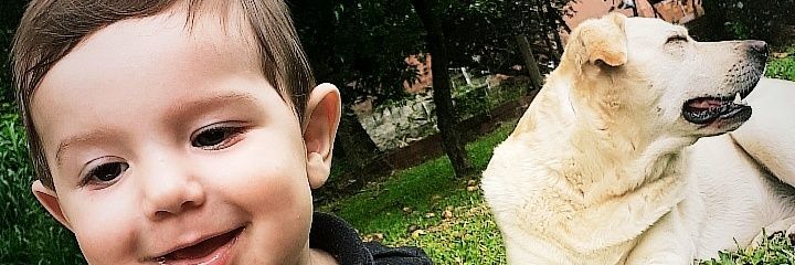 RaniGabriel's profile banner image