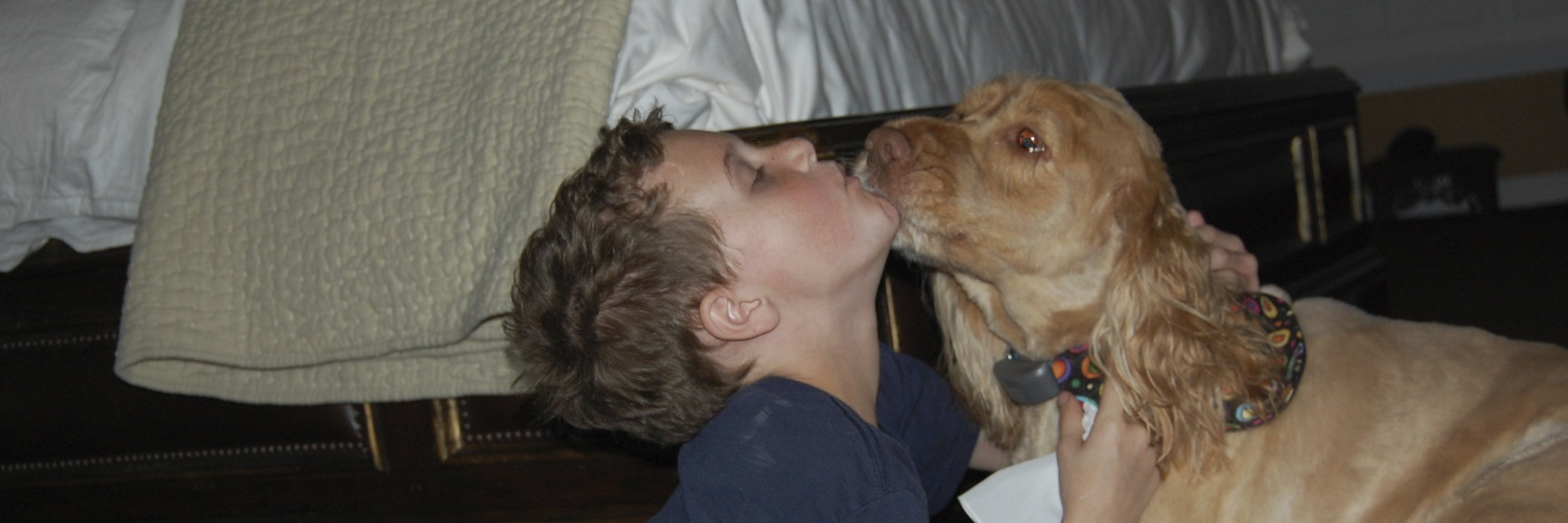 LeeKarlinsky's profile banner image