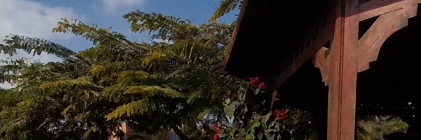 lilasadik's profile banner image