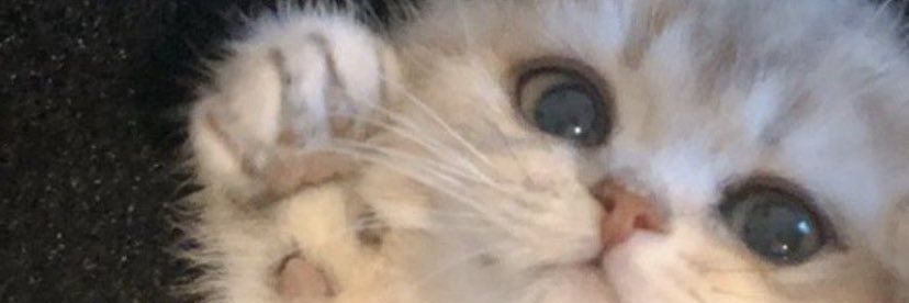 geeyls's profile banner image