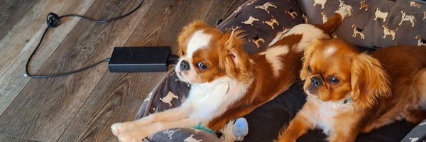 Ninerboy14 Profile Banner