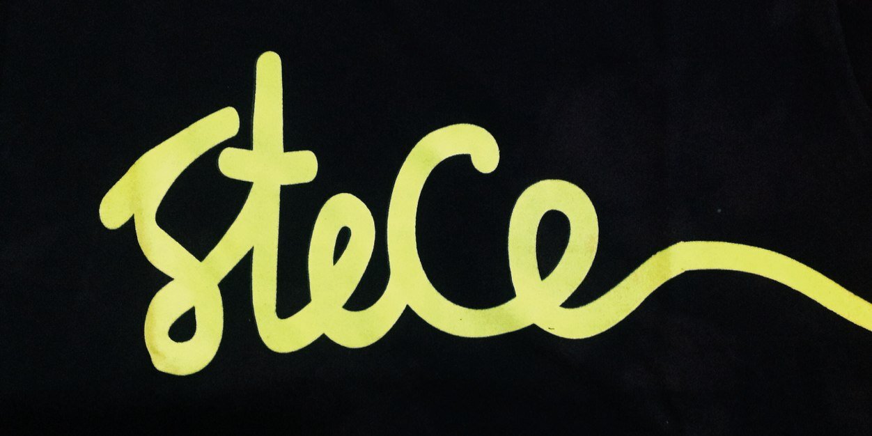 We Are STECE banner