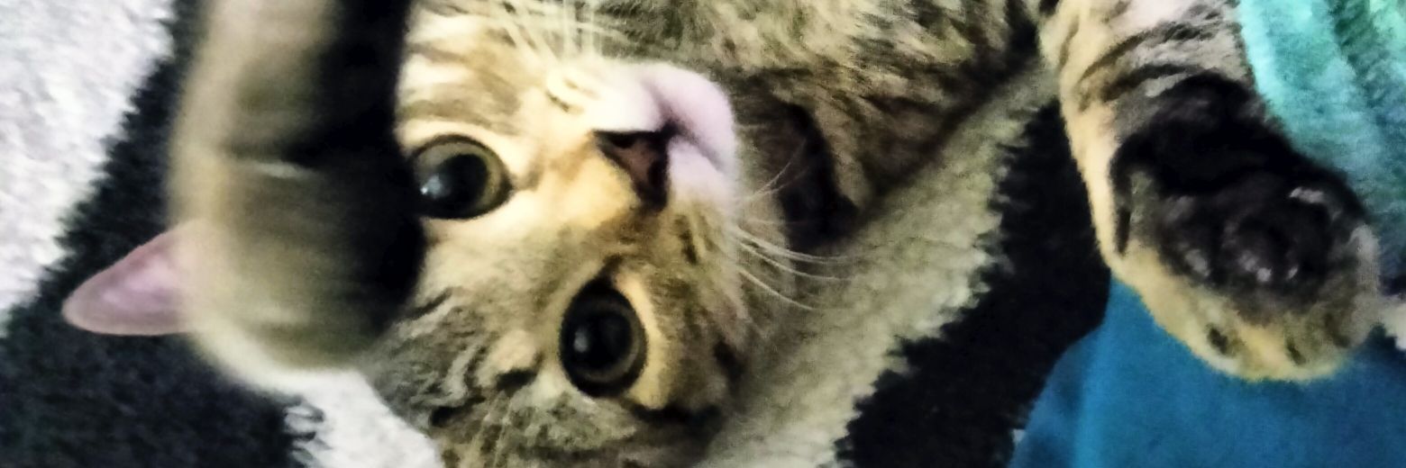 Izzynemos's profile banner image