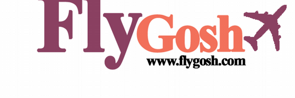 FlyGosh Profile Banner