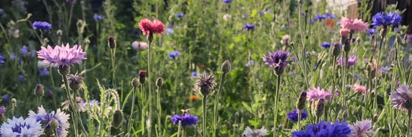 mettemullerk Profile Banner