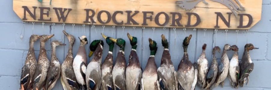 jackson_mahaffy's profile banner image