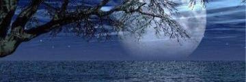 scottperkins1's profile banner image