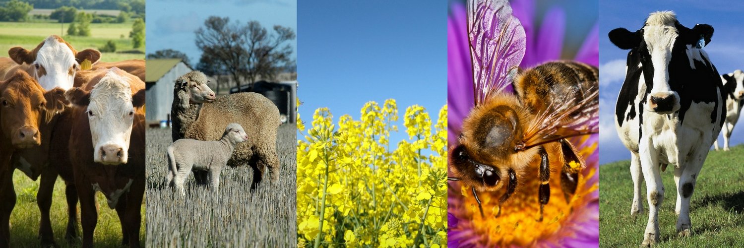 WAFarmers's profile banner image