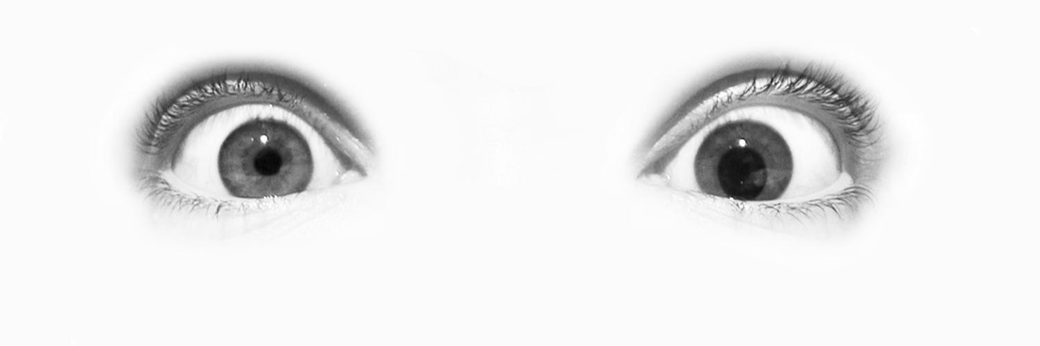 Marmotte_B's profile banner image