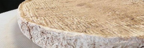 jeanne_ropars Profile Banner