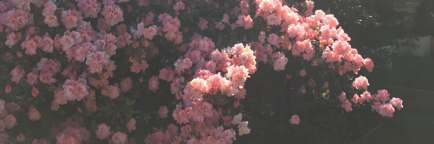 babylame's profile banner image