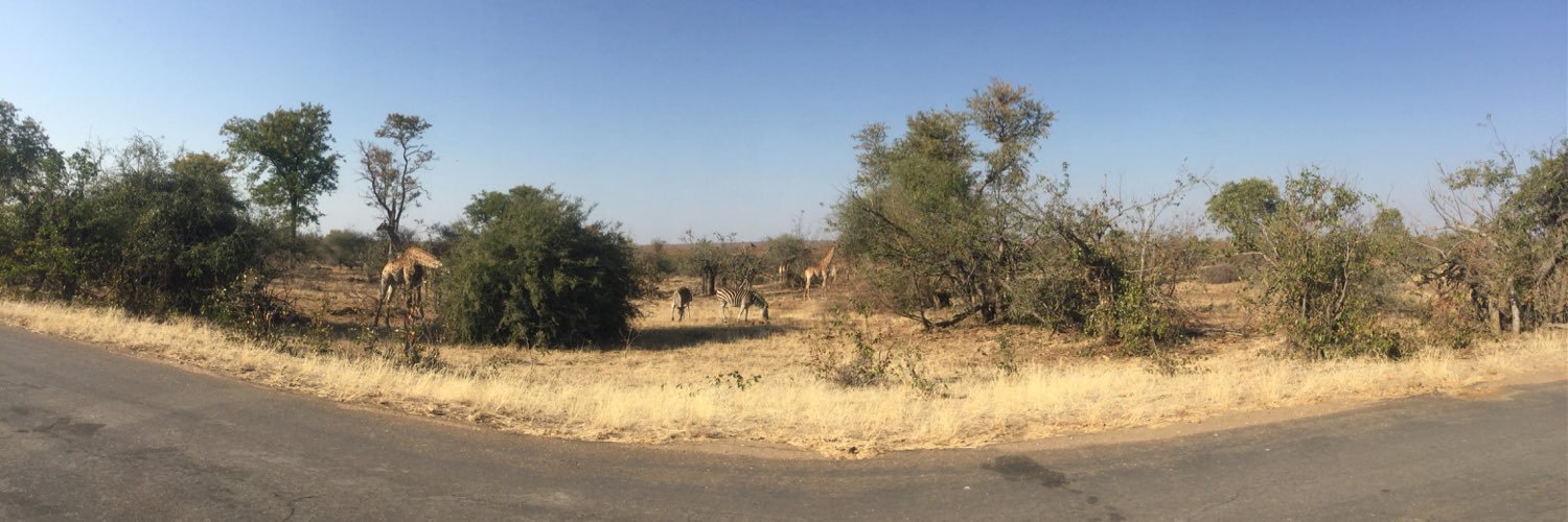 Emily Rutherford banner