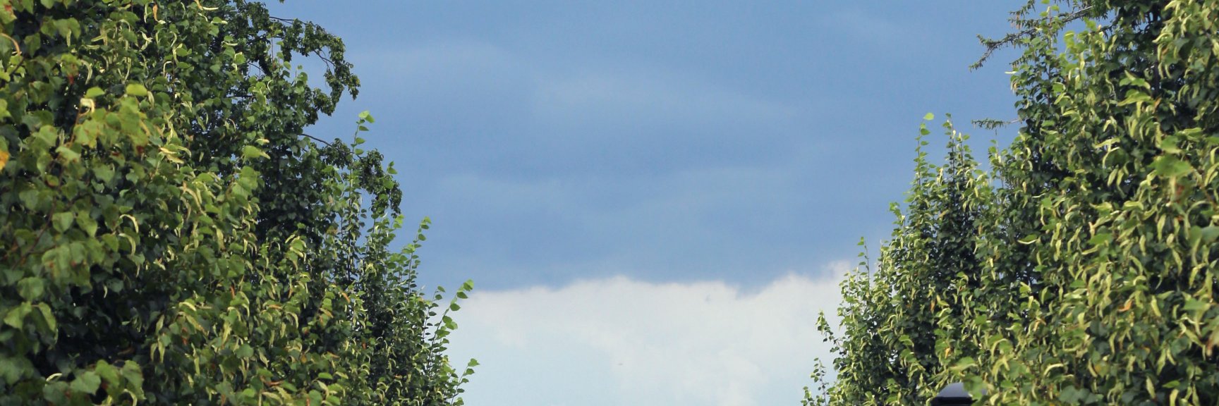 Balazs Komar banner