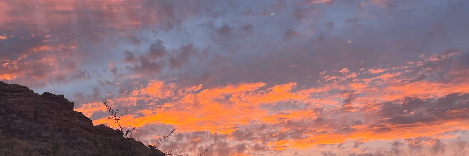 alessav's profile banner image