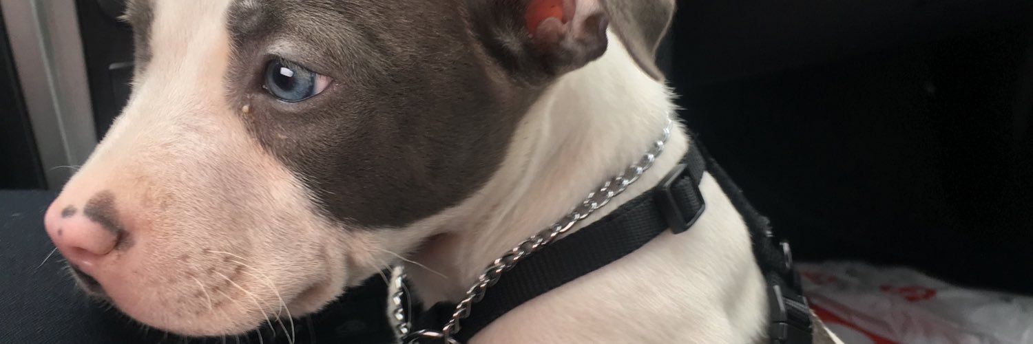 OjwithVodka's profile banner image